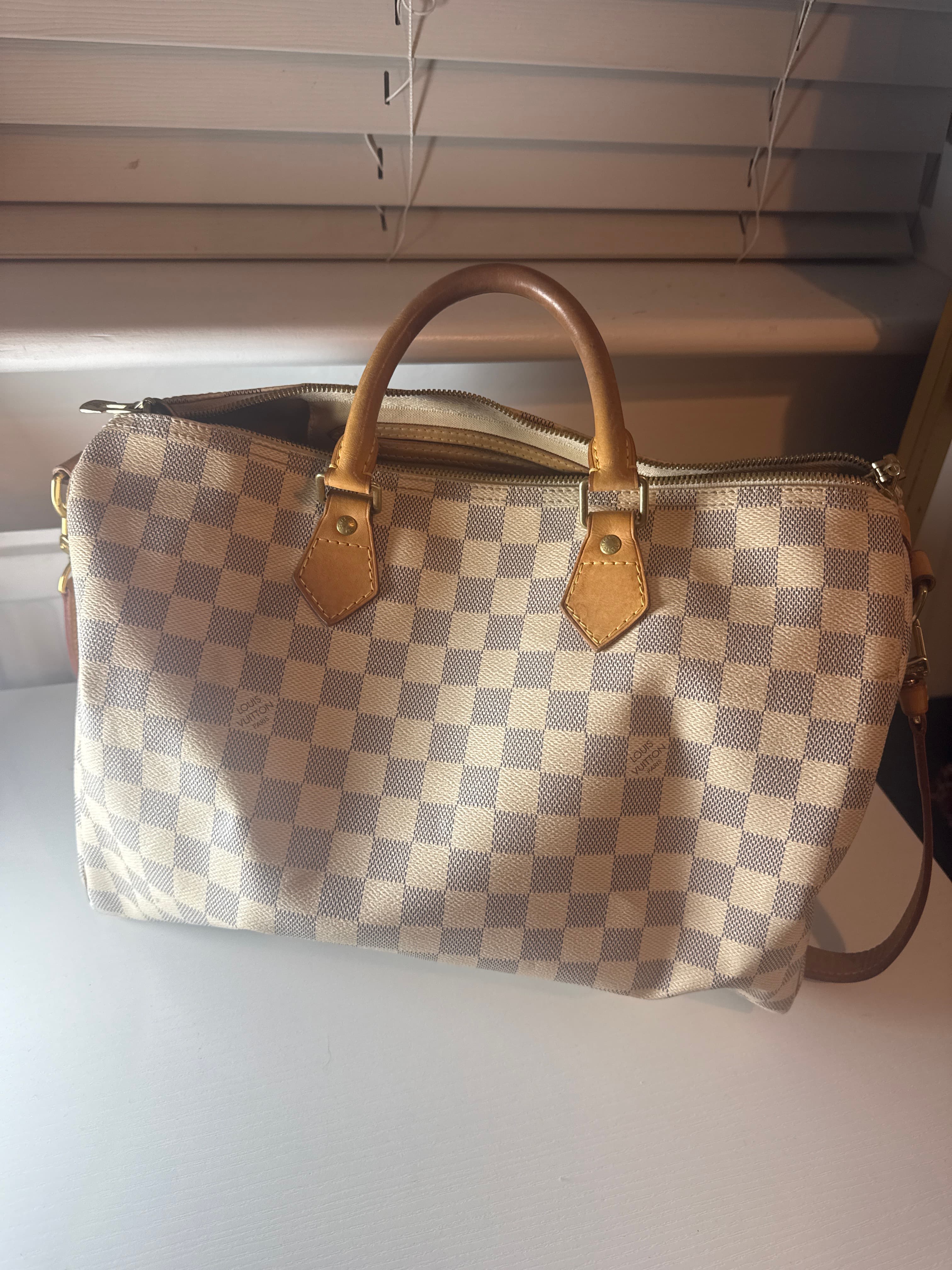 Louis Vuitton Speedy Bag