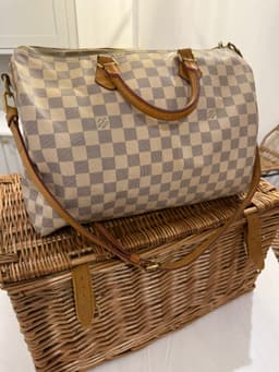 Louis Vuitton Speedy Bag